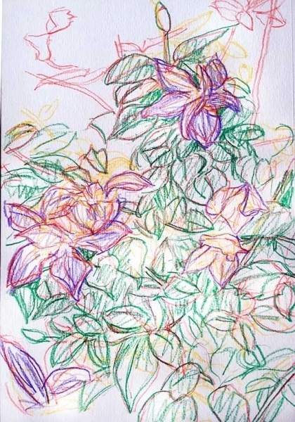 FloralStudy